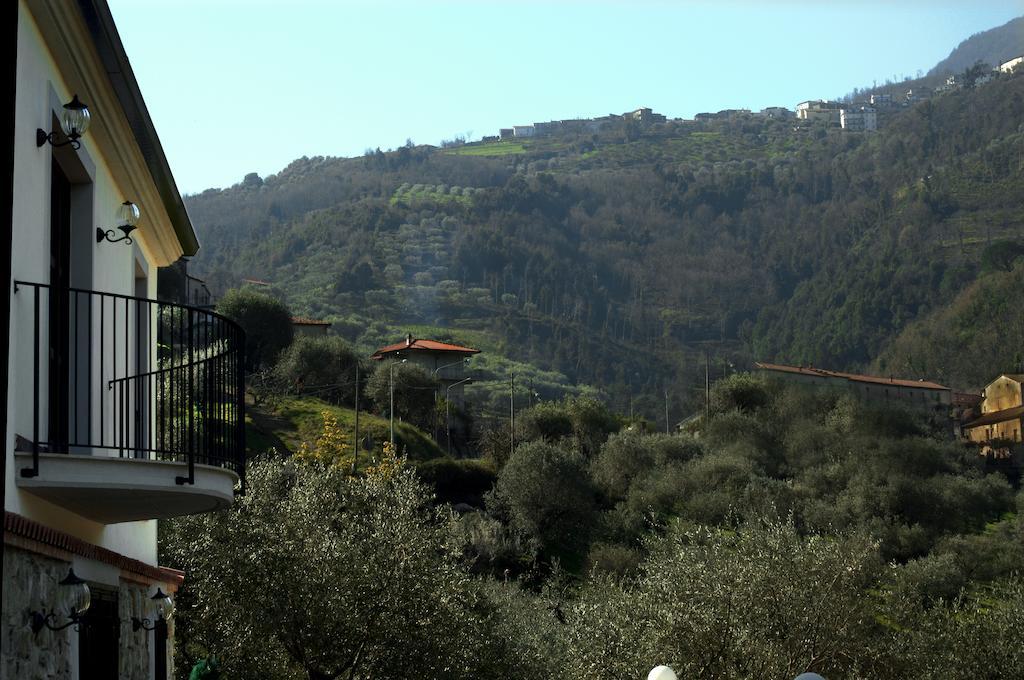 Affittacamere Aria Sessa Cilento Dış mekan fotoğraf
